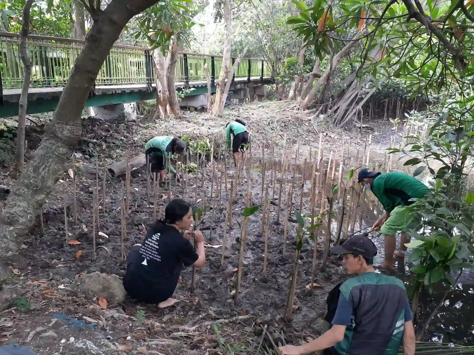 Sedekah Pohon LindungiHutan